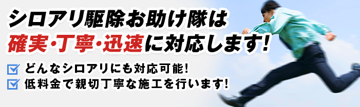 シロアリ駆除お助け隊は確実・丁寧・迅速に対応します！