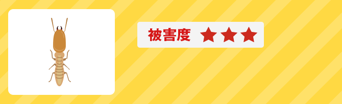 被害度3 ヤマトシロアリ