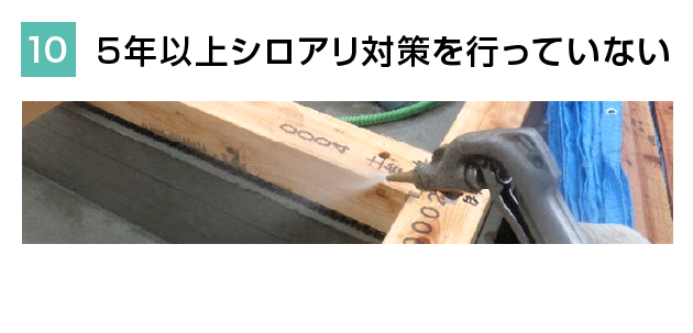 5年以上シロアリ対策を行っていない