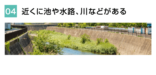 近くに池や水路、川などがある
