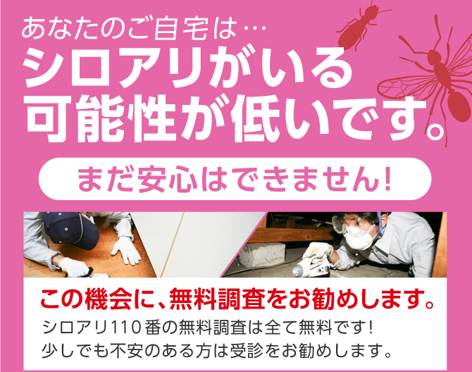 あなたのご自宅は…シロアリがいる可能性が低いです。まだ安心はできません!この機会に、無料調査をお勧めします。シロアリ110番の無料調査は全て無料です！
                  少しでも不安のある方は受診をお勧めします。