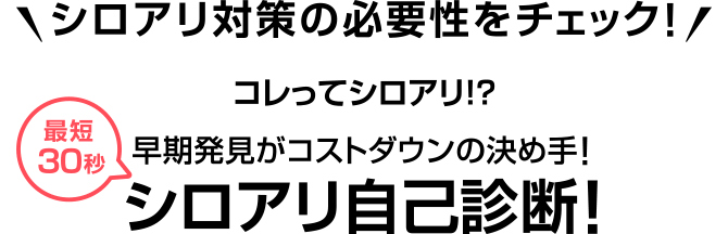 シロアリ対策の必要性をチェック！コレってシロアリ！？最短30秒 早期発見がコストダウンの決め手！シロアリ自己診断！