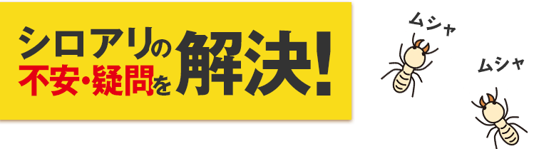 シロアリの不安・疑問を解決！